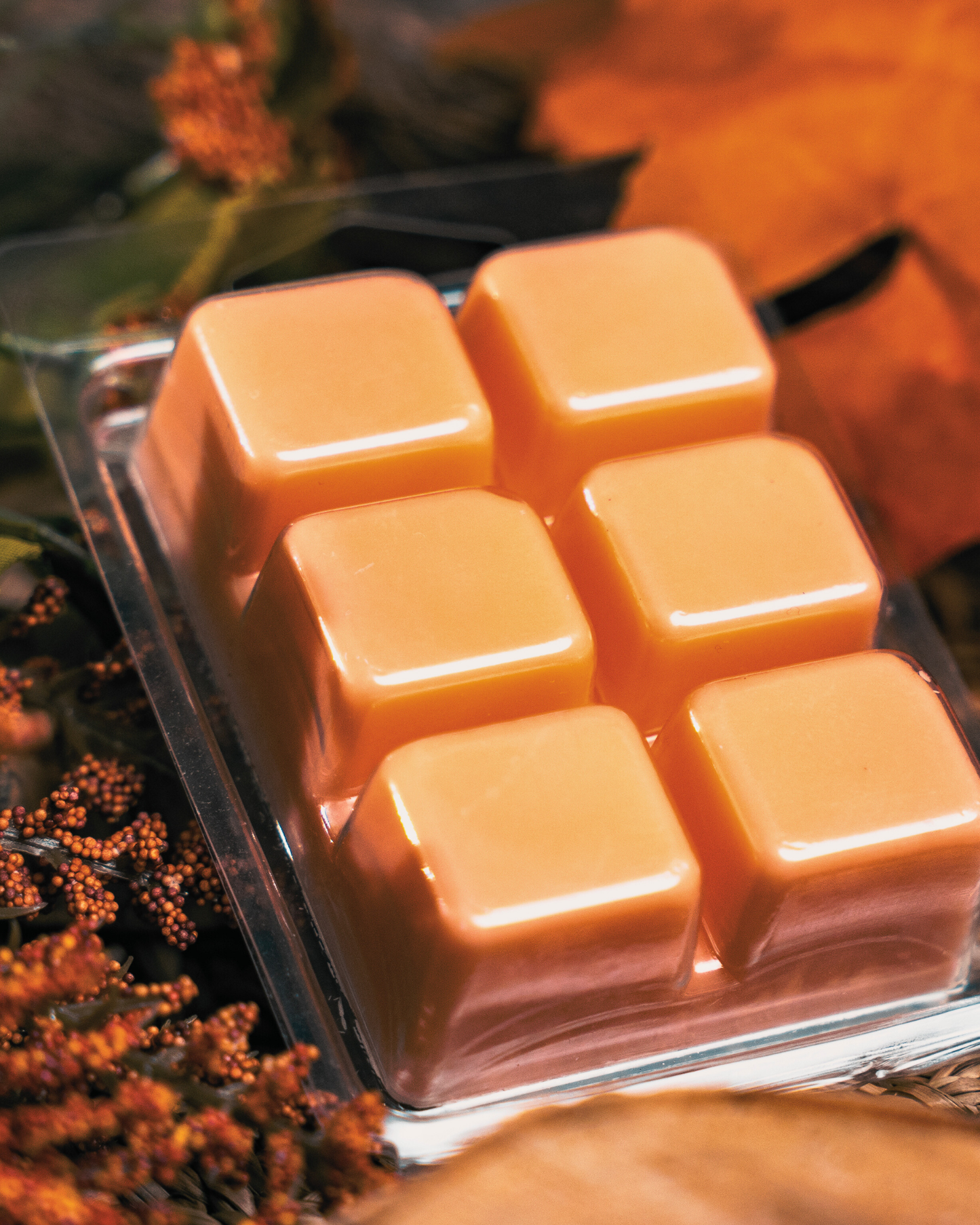 Autumn Harvest soy wax melts by Farmhouse Charm Candles in a clear container with autumn background