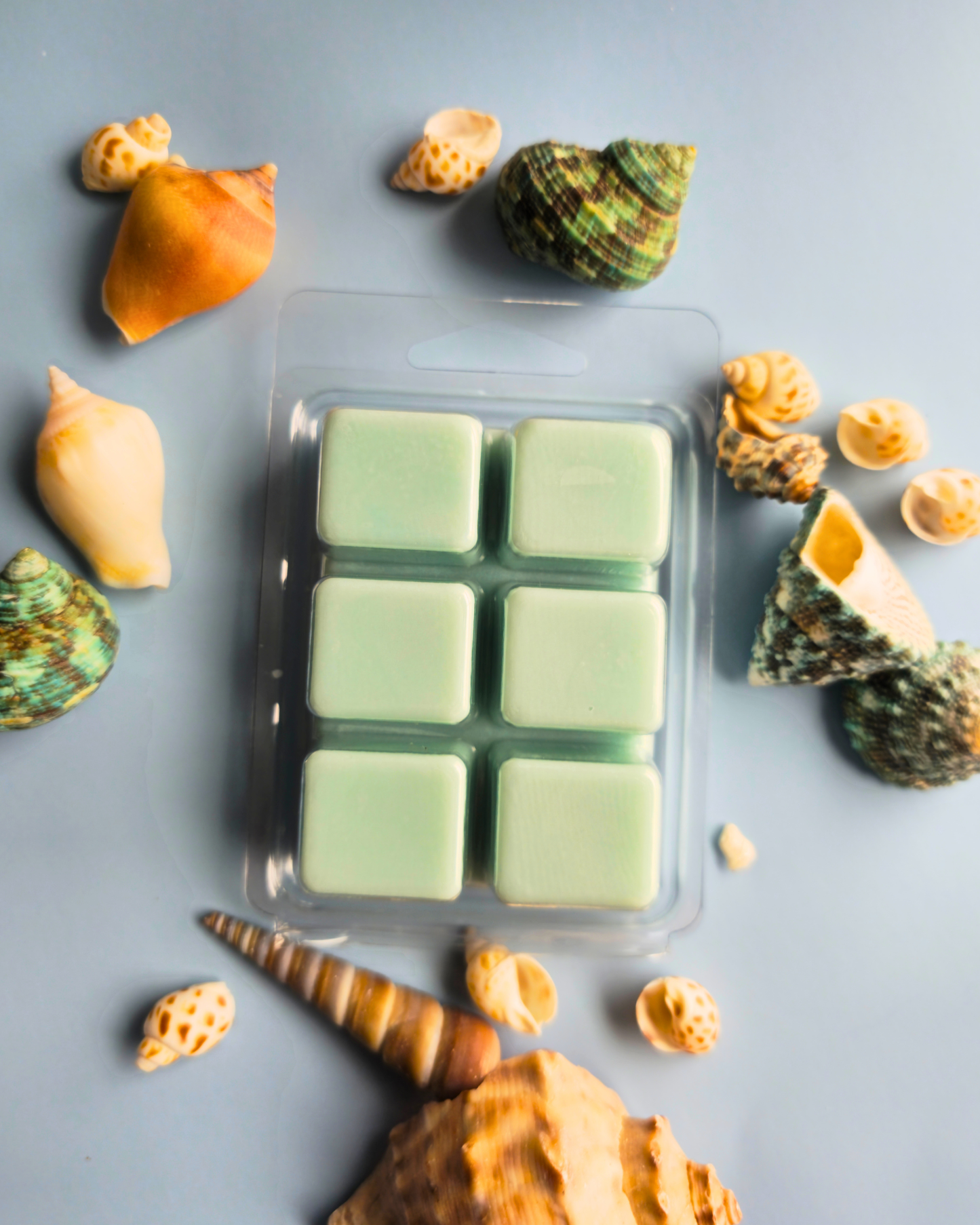 Pack of six green wax melts cubes surrounded by seashells on a gray background