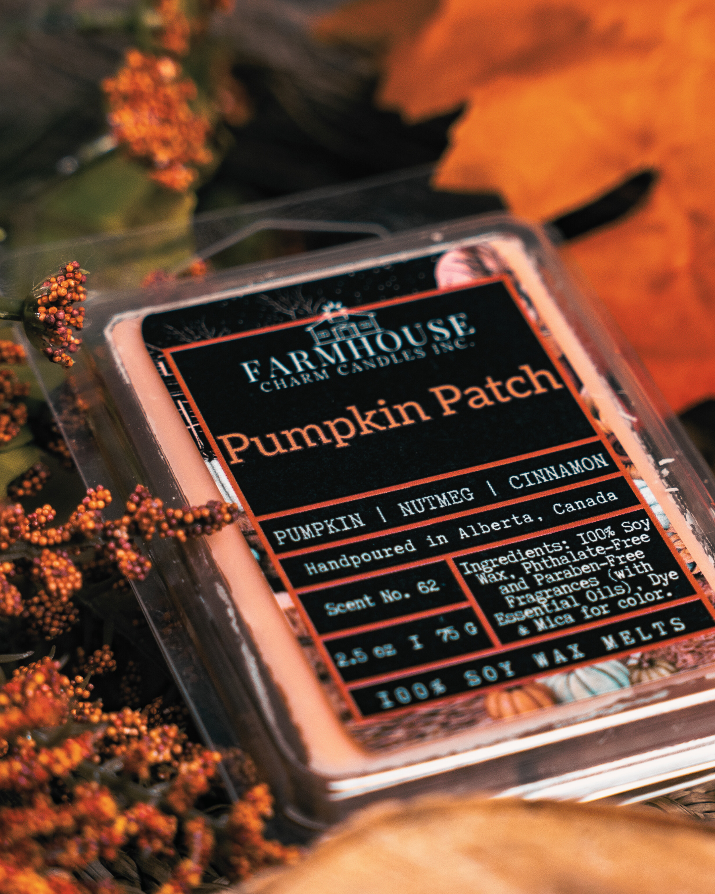 Pumpkin Patch Soy Wax Melts | Pumpkin + Nutmeg + Cinnamon