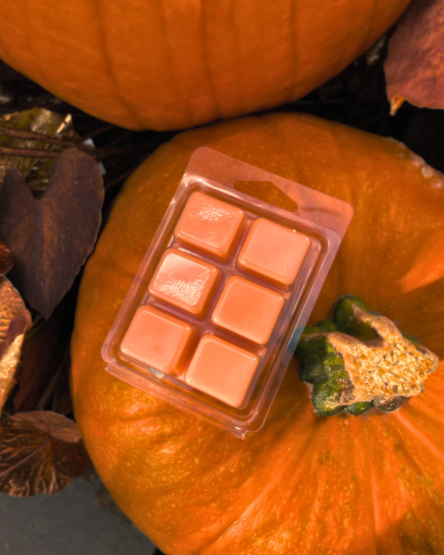 Pumpkin Patch Soy Wax Melts | Pumpkin + Nutmeg + Cinnamon