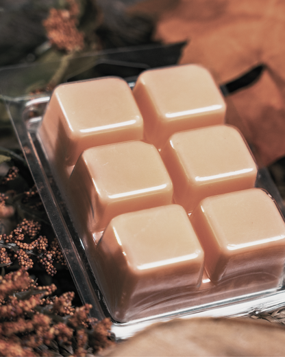 Six smooth, glossy square beige wax melts in a clear plastic clamshell package, styled with dried botanicals on a warm brown background. Farmhouse Charm Candles