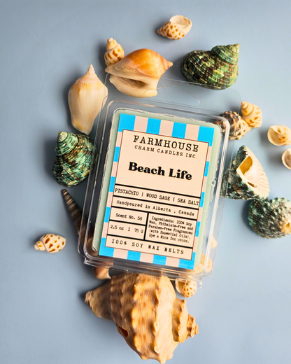 Farmhouse Charm Candles 'Beach Life' wax melts with seashells on a gray background