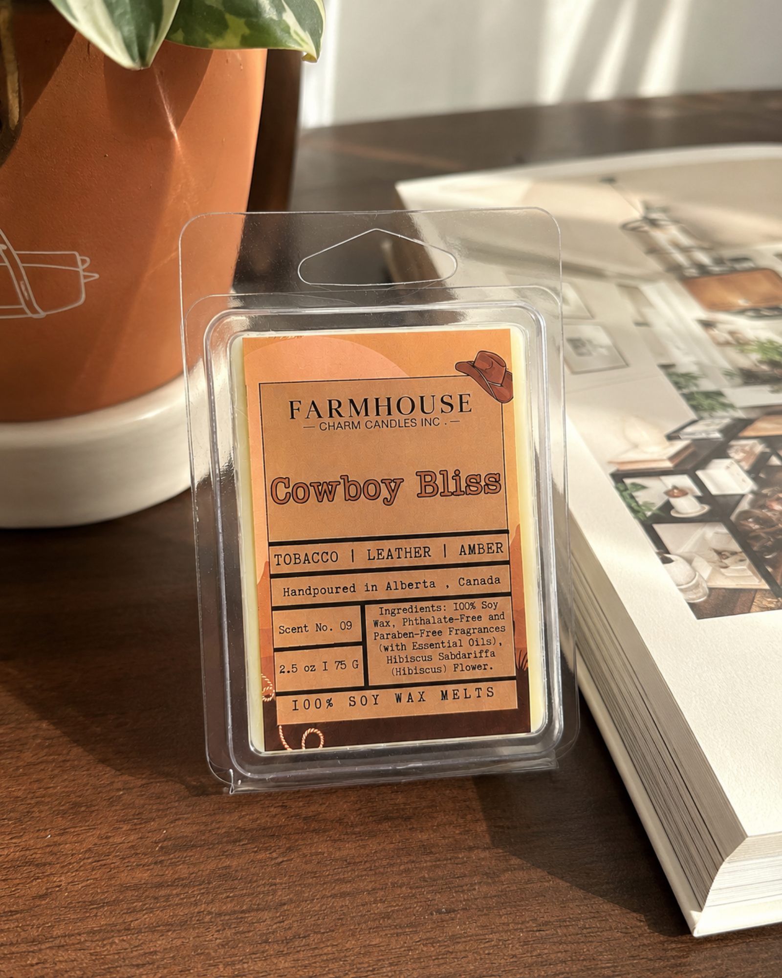 Cowboy Bliss soy wax melt clamshell leaning against a stack of books beside a terracotta plant pot on a wooden surface — Farmhouse Charm Candles