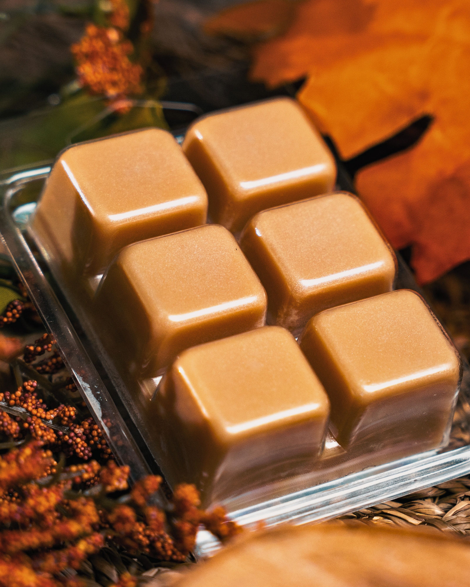 Square brown wax melts in a clear  container with autumn background. Cozy Cabin Soy Wax Melts by Farmhouse Charm Candles