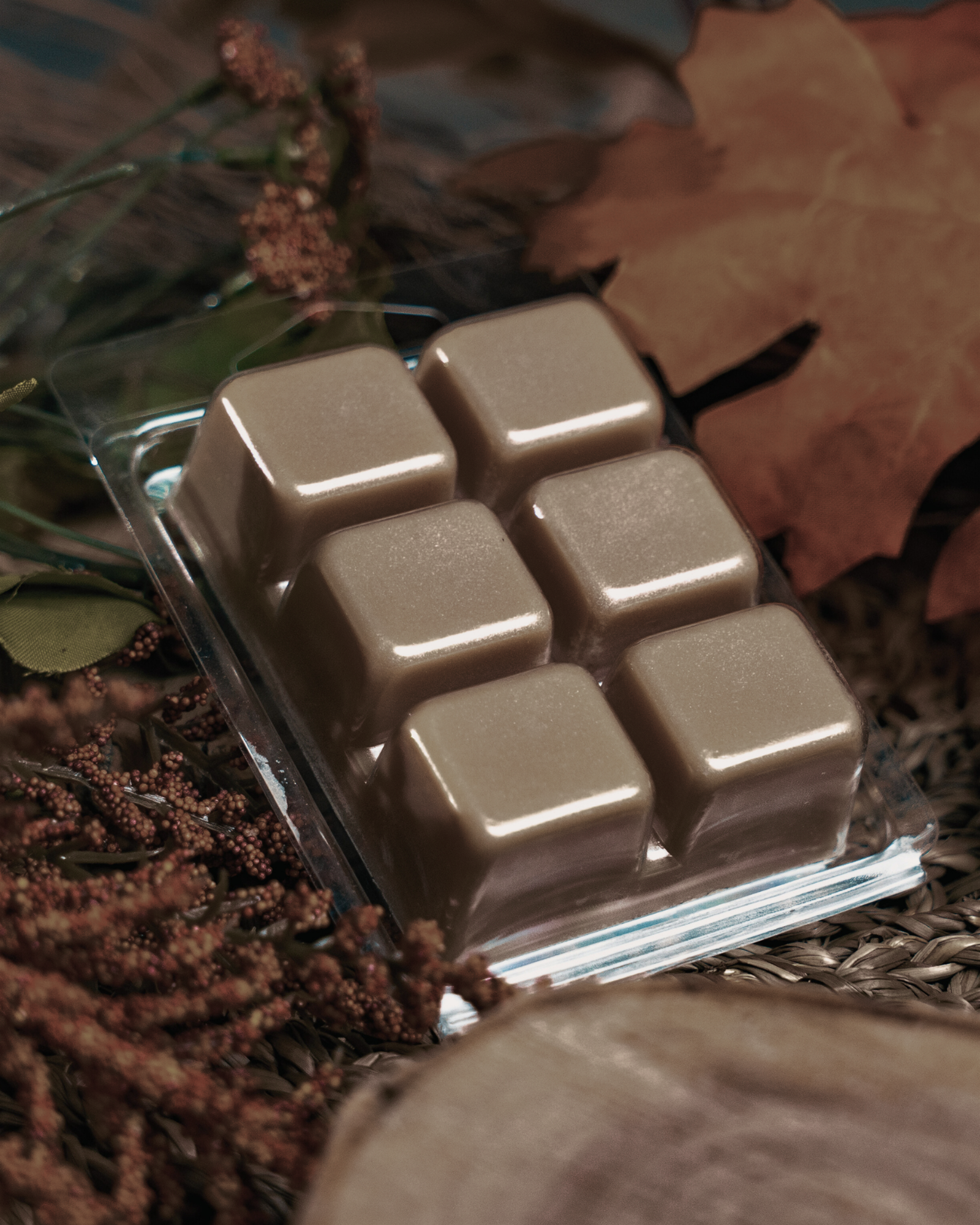 Six glossy square brown wax melts in a clear plastic clamshell package, styled on a bed of dried autumn leaves and brown botanicals. Farmhouse Charm Candles