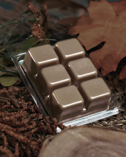 Six glossy square brown wax melts in a clear plastic clamshell package, styled on a bed of dried autumn leaves and brown botanicals. Farmhouse Charm Candles