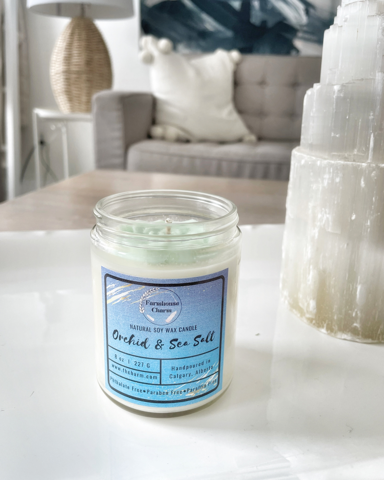 Experience the invigorating aroma of Orchid & Sea Salt - Farmhouse Charm Natural Soy Candle . This soy candle offers a delightful blend of soft floral tones, including orchid, jasmine, and lily. The crisp and refreshing sea salt mist aroma adds an elegant touch to the fragrance, making it truly invigorating. The stunning mint-green soy wax top is shaped like a succulent, making it a unique addition to your decor. www.farmhousecharmcandles.com