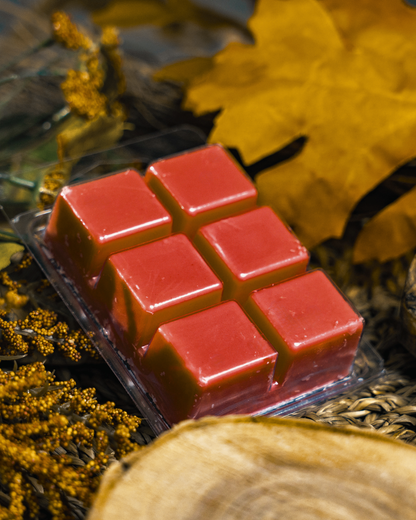 Six red wax melts in a clear plastic clamshell package, styled with autumn leaves and dried yellow flowers on a rustic surface.  Farmhouse Charm Candles