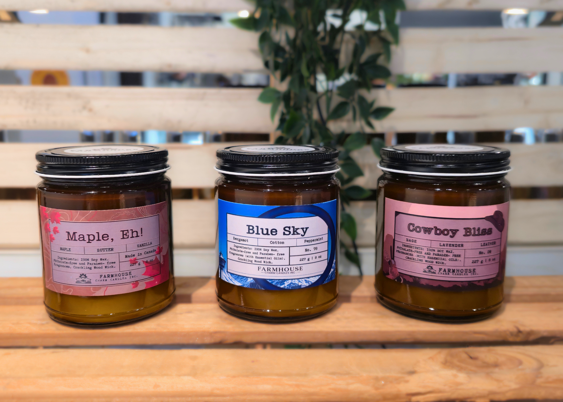Three jars of candles by Farmhouse Charm Candles with labeled scents (Maple, Eh, Blue Sky and Cowboy Bliss   on a wooden surface, with a plant in the background.