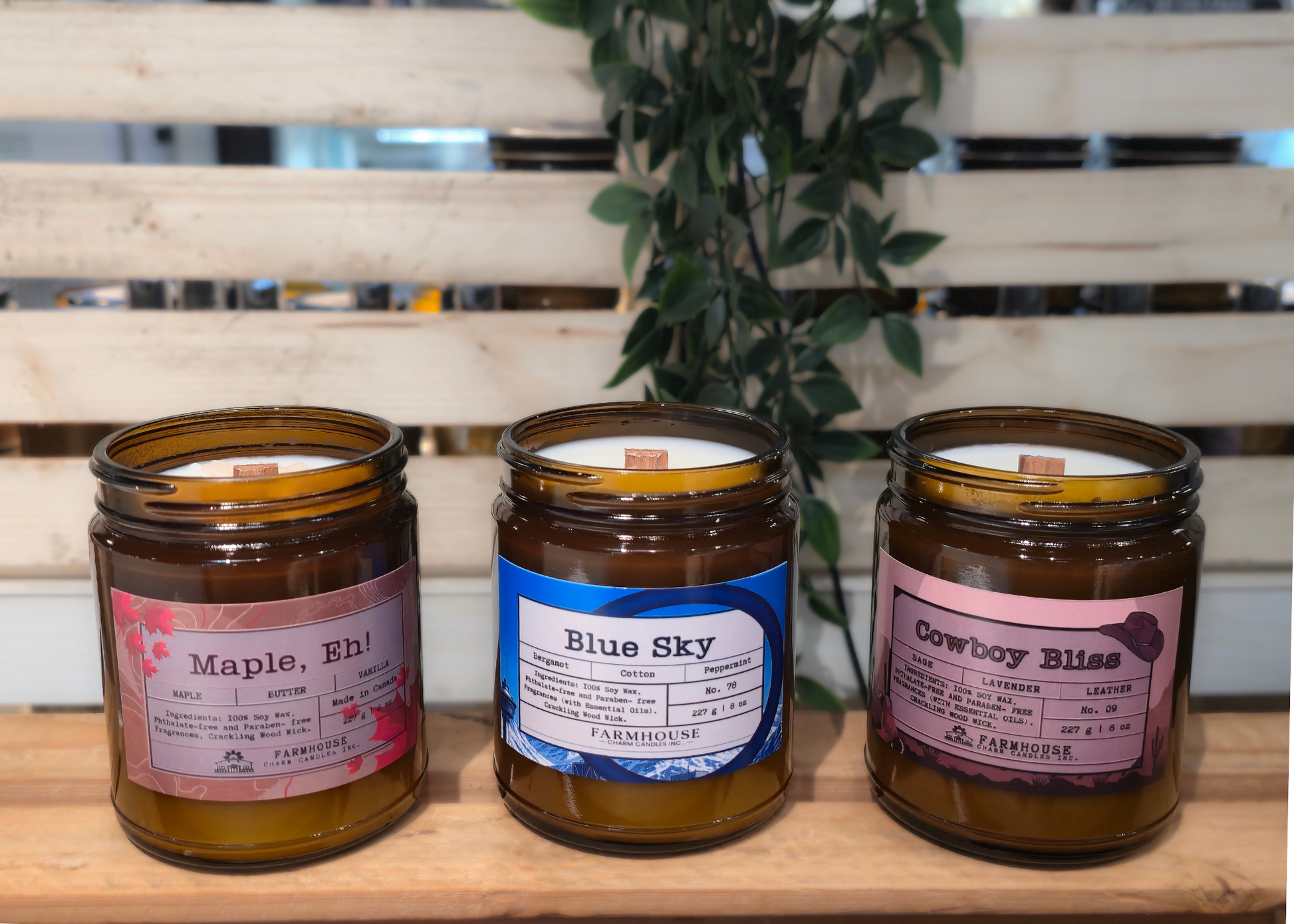 Three jars of candles by Farmhouse Charm Candles with labeled scents (Maple, Eh, Blue Sky and Cowboy Bliss   on a wooden surface, with a plant in the background.