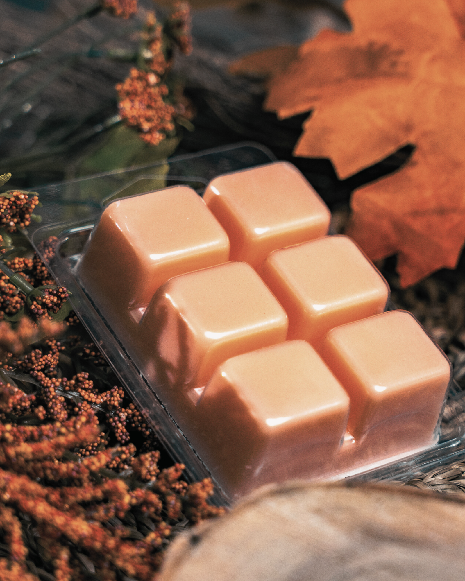 Six beige wax melts in a clear plastic clamshell package, styled with autumn leaves and dried orange berries on a dark surface. Farmhouse Charm Candles