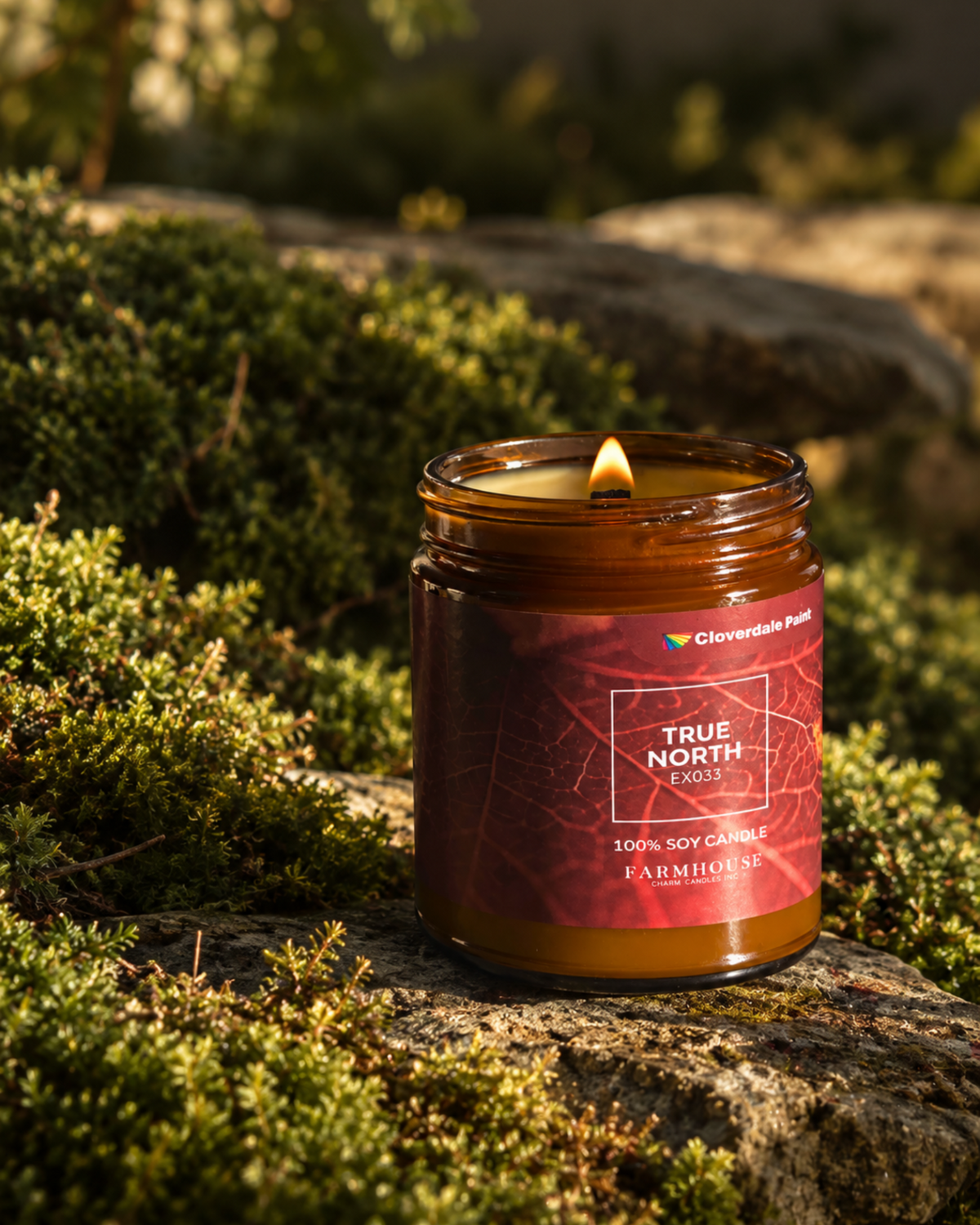 A lit amber glass jar candle labeled 'TRUE NORTH  by Cloverdale Park sits on a mossy stone outdoors. Farmhouse Charm Candles