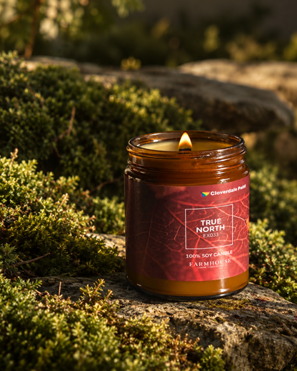 A lit amber glass jar candle labeled 'TRUE NORTH  by Cloverdale Park sits on a mossy stone outdoors. Farmhouse Charm Candles