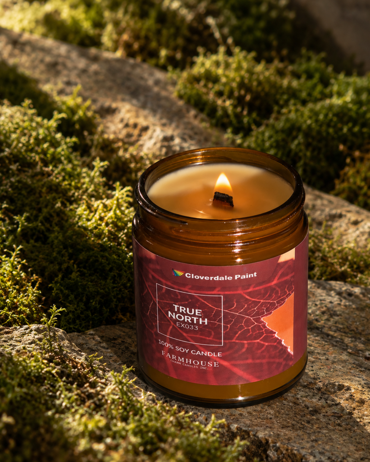 A lit amber glass jar candle sits on a stone surrounded by green moss in an outdoor setting. The label reads Cloverdale Paint and TRUE NORTH. Farmhouse Charm  Candles