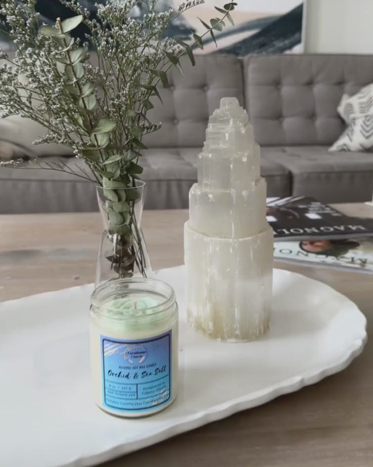 Experience the invigorating aroma of Orchid & Sea Salt - Farmhouse Charm Natural Soy Candle . This soy candle offers a delightful blend of soft floral tones, including orchid, jasmine, and lily. The crisp and refreshing sea salt mist aroma adds an elegant touch to the fragrance, making it truly invigorating. The stunning mint-green soy wax top is shaped like a succulent, making it a unique addition to your decor. www.farmhousecharmcandles.com