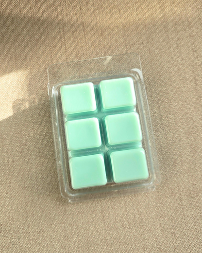 Pack of six light green cubes in clear plastic packaging  of wax melts on a beige surface by Farmhouse Charm Candles