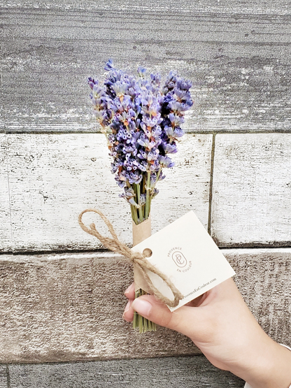 A handmade lavender bouquets bring a breath of Provence right to your home. This traditional dried lavender bouquet adds a refreshing touch to your decoration.   Expert Tip: Avoid displaying in direct sunlight and keep away from water.