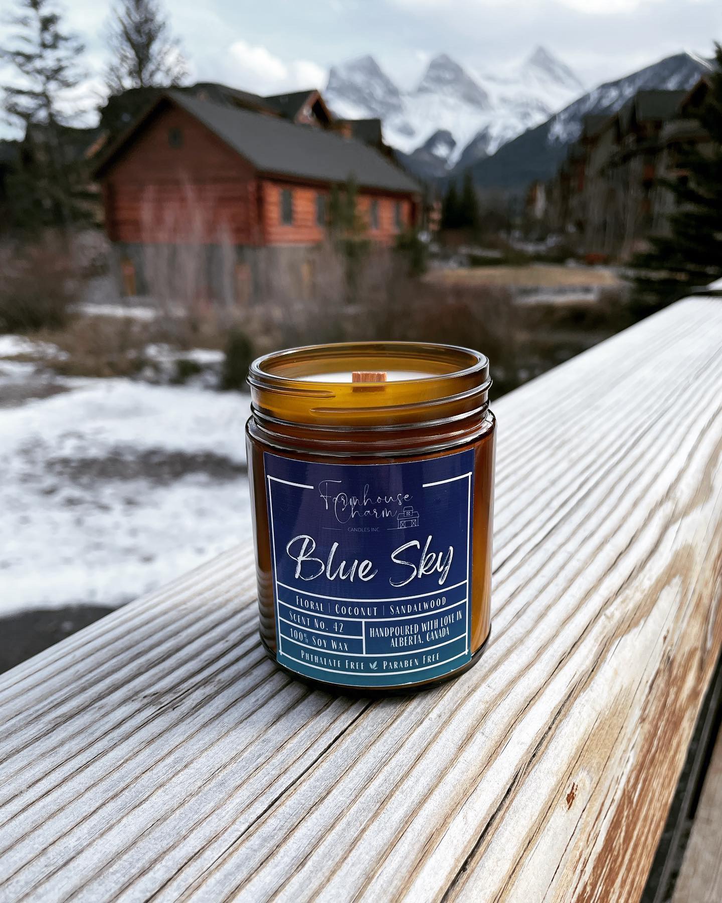 Blue Sky - Farmhouse Charm Soy Candle has a delightful blend of floral, coconut, and sandalwood scents that will fill your home with a calming atmosphere. Floral notes of fresh flowers and green botanicals create a soothing and inviting atmosphere, while the coconut and sandalwood create a warm and comforting ambience. Together, these  scents combine to create an atmosphere that evoke the feeling of a bright and sunny spring day!www.farmhousecharmcandles.com